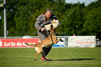 Bali vom Mittelpunkt