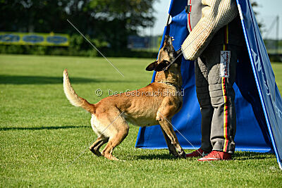 Bali vom Mittelpunkt