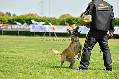 Bali vom Mittelpunkt