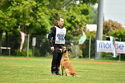 Bali vom Mittelpunkt