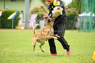 Bali vom Mittelpunkt