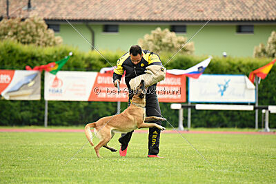 Bali vom Mittelpunkt