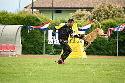 Bali vom Mittelpunkt