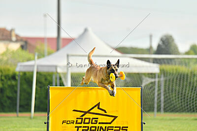 Bali vom Mittelpunkt