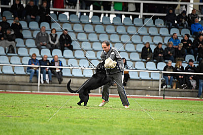 Bam-Bam vom Wällerhorst