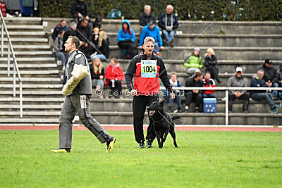 Bam-Bam vom Wällerhorst