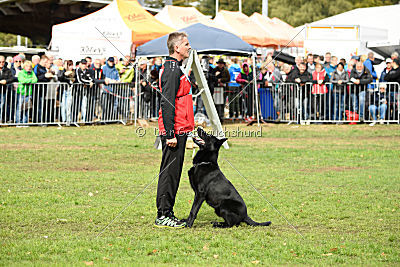 Bam-Bam vom Wällerhorst