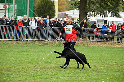 Bam-Bam vom Wällerhorst