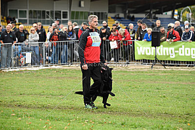 Bam-Bam vom Wällerhorst