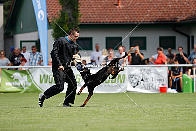 Bambam von den Wichtelhäusern