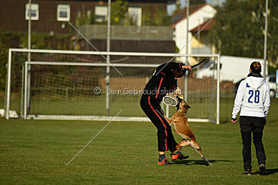 Bambuca von der schwarzen Mamba