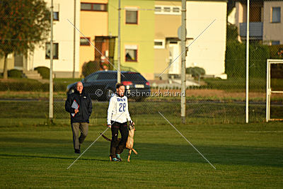 Bambuca von der schwarzen Mamba