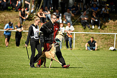 Bambuca von der schwarzen Mamba