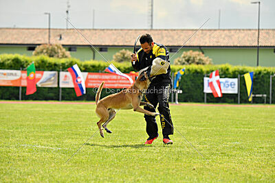 Banda Los Valientes Arturo
