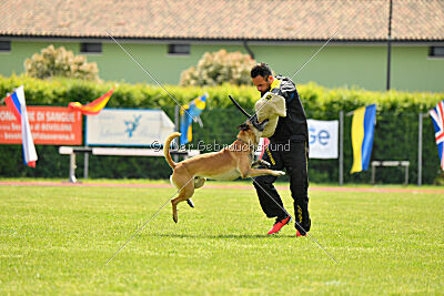 Banda Los Valientes Arturo