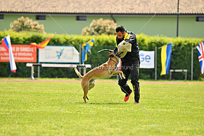 Banda Los Valientes Arturo