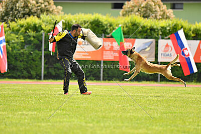 Banda Los Valientes Arturo