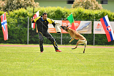 Banda Los Valientes Arturo