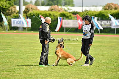 Banda Los Valientes Arturo