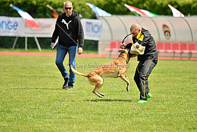 Banda Los Valientes Arturo