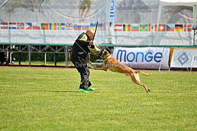 Banda Los Valientes Arturo