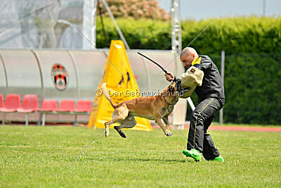 Banda Los Valientes Arturo