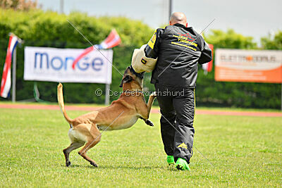 Banda Los Valientes Arturo
