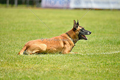 Banda Los Valientes Arturo