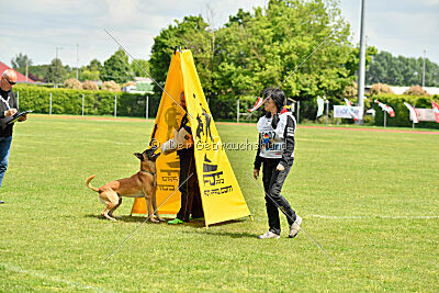 Banda Los Valientes Arturo