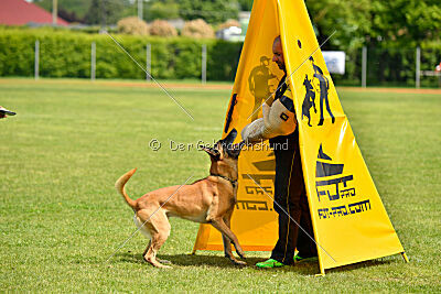 Banda Los Valientes Arturo