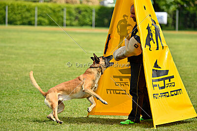 Banda Los Valientes Arturo