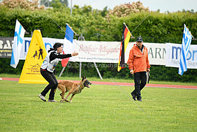 Banda Los Valientes Arturo