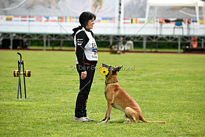 Banda Los Valientes Arturo