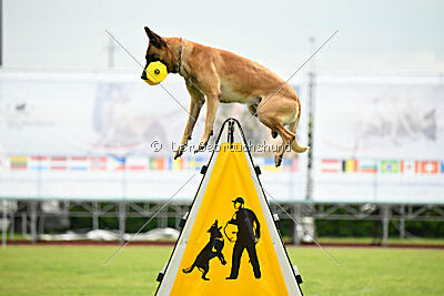 Banda Los Valientes Arturo