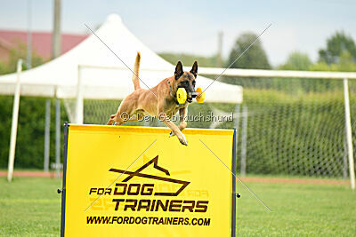 Banda Los Valientes Arturo