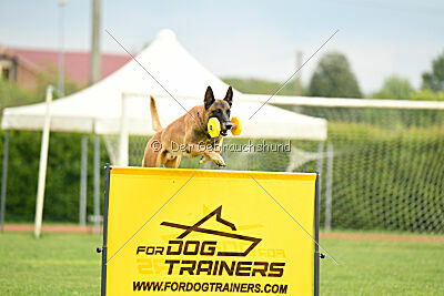 Banda Los Valientes Arturo