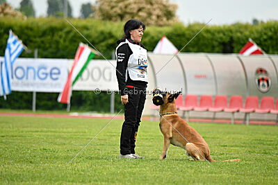 Banda Los Valientes Arturo
