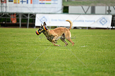 Banda Los Valientes Arturo