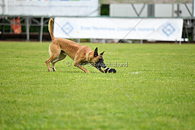 Banda Los Valientes Arturo