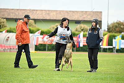Banda Los Valientes Arturo