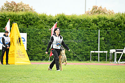 Banda Los Valientes Arturo