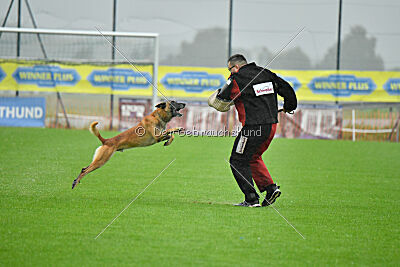Banda Los Valientes Arturo