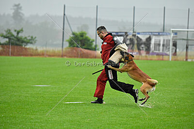 Banda Los Valientes Arturo