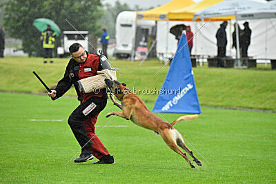 Banda Los Valientes Arturo