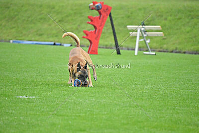 Banda Los Valientes Arturo