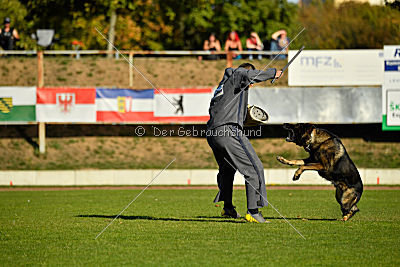 Bandit vom Steinsaal