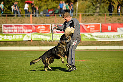 Bandit vom Steinsaal