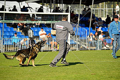 Bandit vom Steinsaal