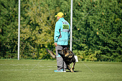 Bandit vom Steinsaal