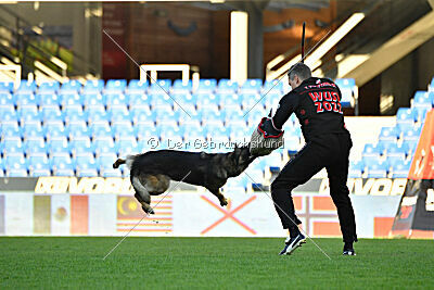 Bandit von Spürsinn